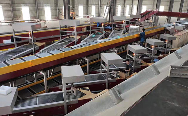 快递包裹分拣机适配异形件小件,分拣准确率99.99%